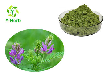 Alfalfa Grass Juice Extract Powder Health Care Sodium Copper Chlorophyll