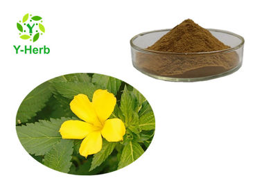 Damiana Leaf Herbal Extract Sexual Enhancement Ingredients Turnera Afrodisiaca P.E. Turnera Diffusa