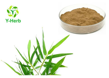 Organic Bamboo Leaf Extract Flavonoids Powder 5%-30% 10:1 Lophatherum Herb P.E.