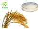 Raw Ferulic Acid Powder Rice Bran Extract Fumalic Acid 98% 99% CAS 1135-24-6