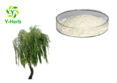 CAS 138-52-3 White Willow Bark Extract 10% - 98% Purity HPLC Test Method